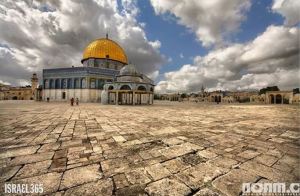 e862ac33-592b-4828-b176-8c780fd4e0a1