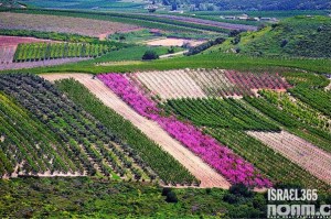 8c808ee1-f77d-41b5-97b3-c51a01f39216