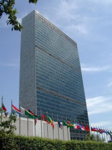 The-United-Nations
