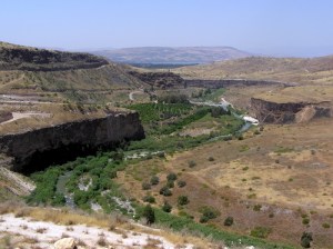 Golan Heights Valley