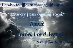 502e7df9bf0abfc11f6ed90b1a0e2450